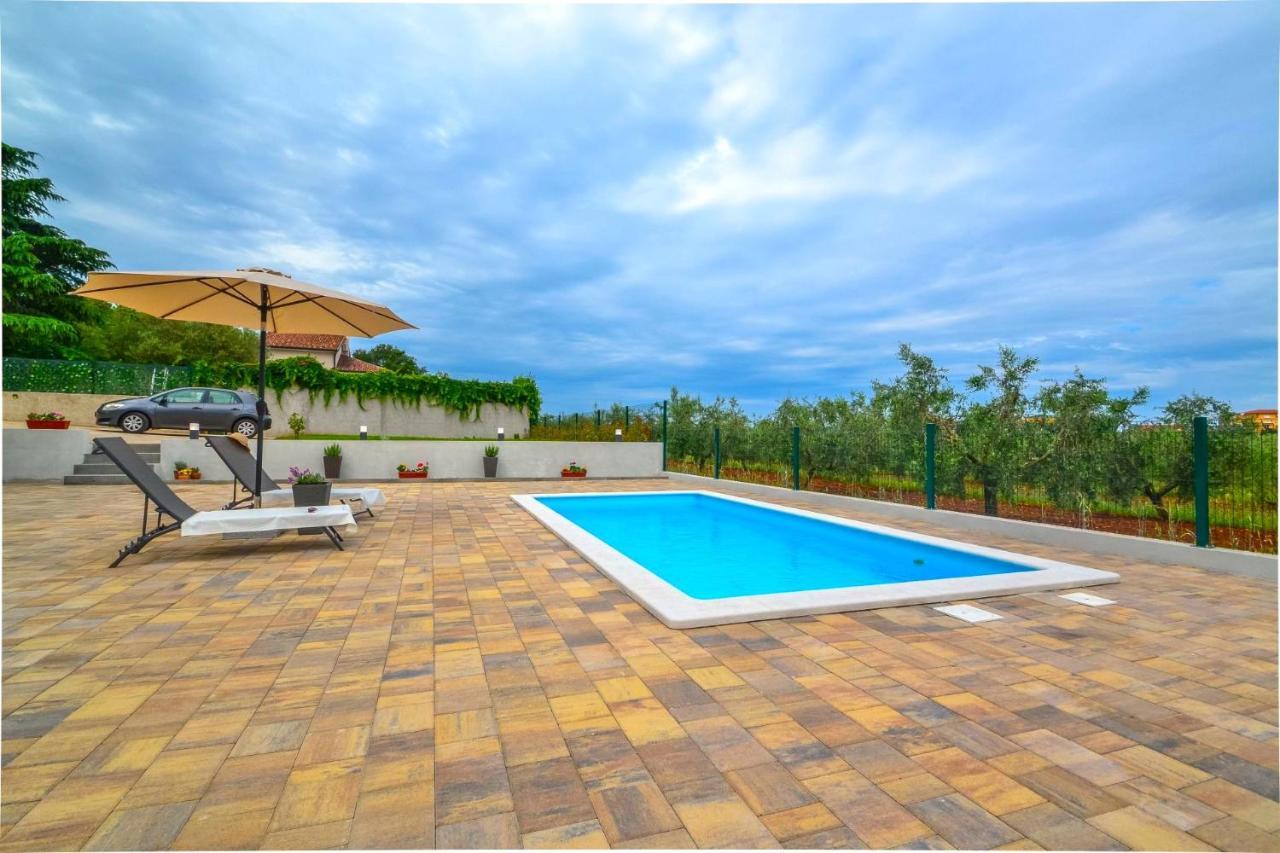 Apartment Kaplja Novigrad  Exterior photo